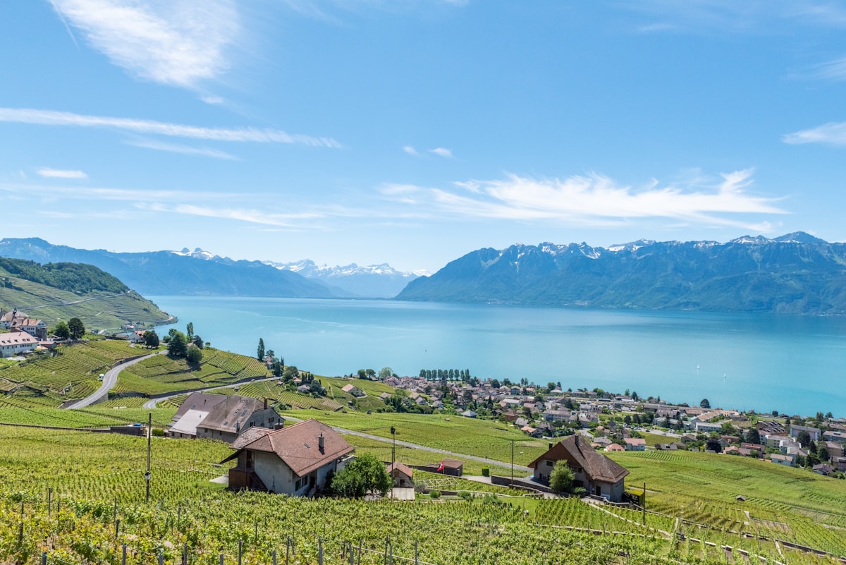 Vignobles de Lavaux au bord du lac Léman